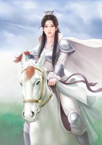乱世奇谈之烽火枭雄